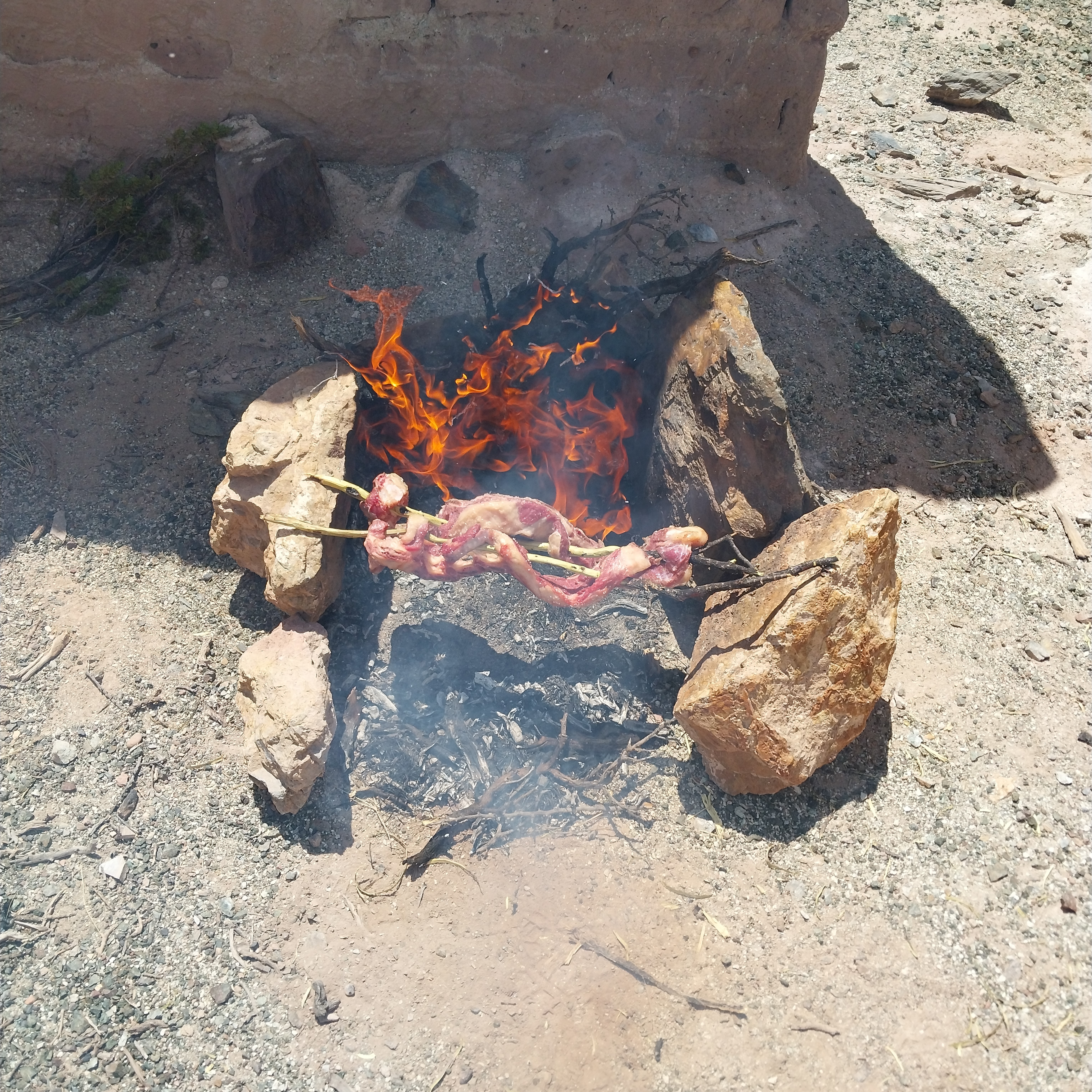 Proyecto minero 19